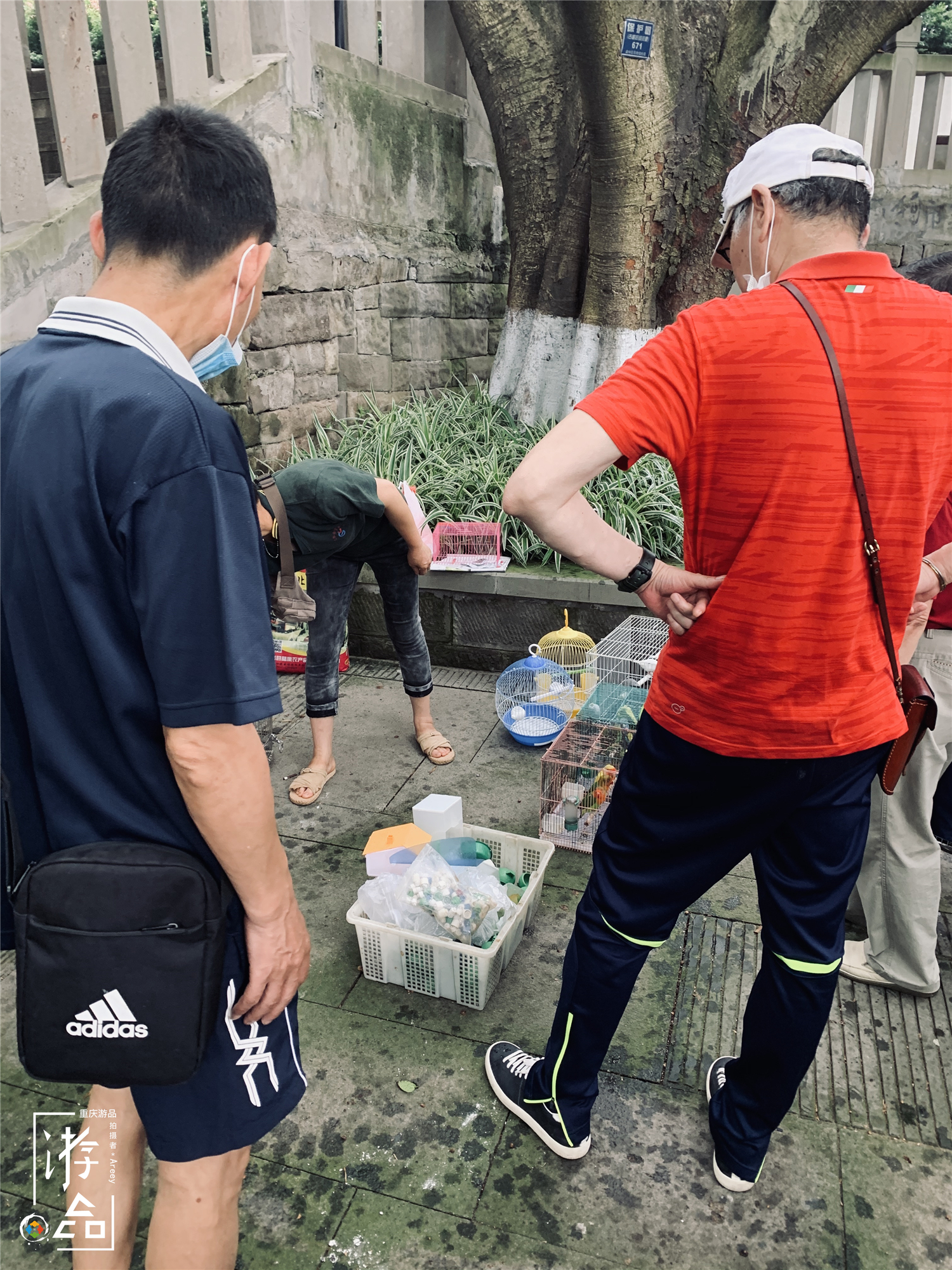 重庆最特别的花鸟集市，距离解放碑不到500米，每周仅开放一天