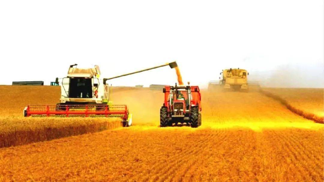 農業農村部 優化糧食生產全程機械化 中國工業報 Mdeditor