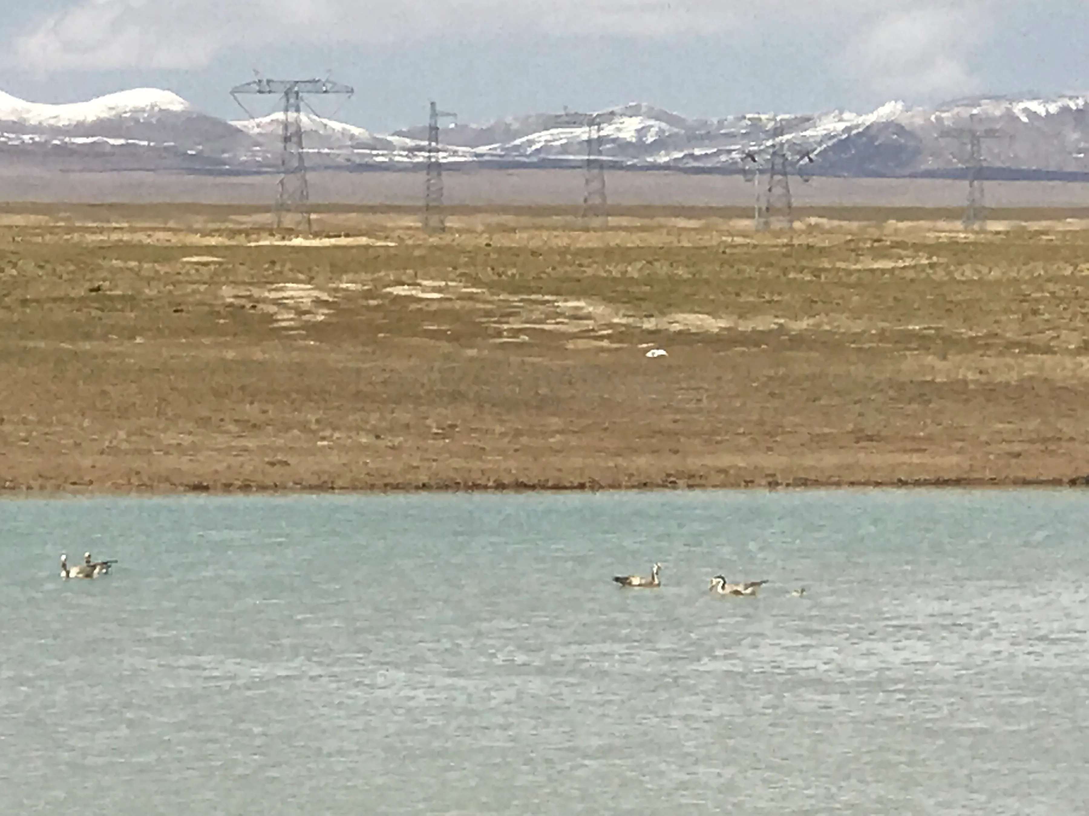 Colorful Qaidam (6) Golmud