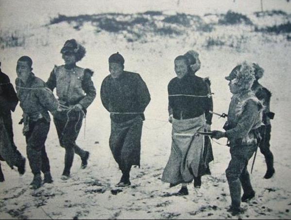 1951年春，一名解放军举报另一名解放军：他谋害了杨靖宇