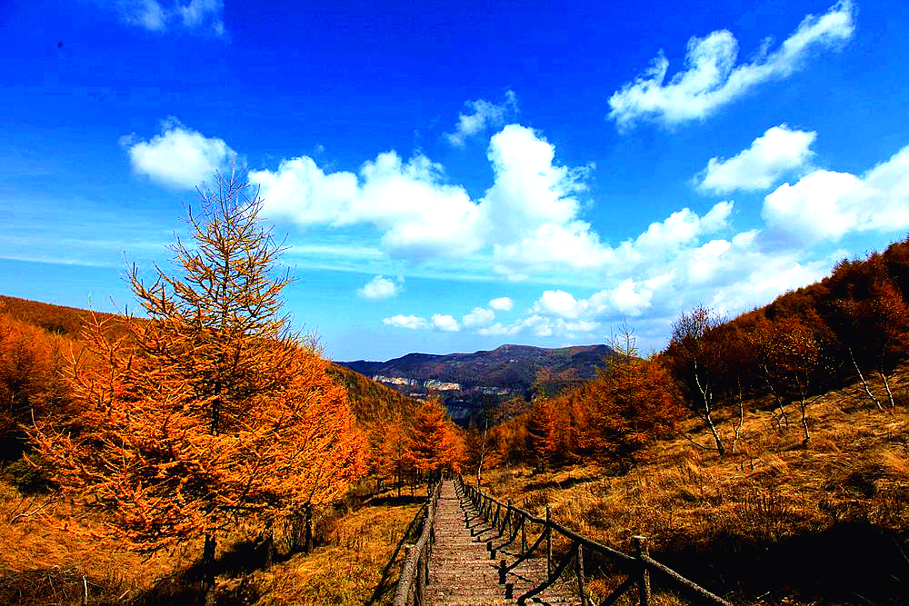 Shanxi's beautiful tourist check-in place, it becomes a paradise on earth in autumn, which is amazing