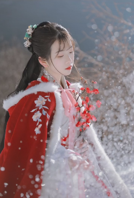 Bai Xue flushs a plum, pat in snow Chinese take, netizen: Is this fairy? 