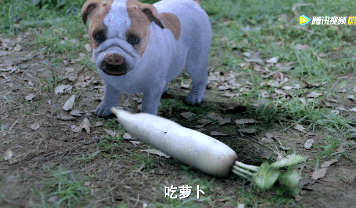 《斗罗大陆》电视剧播放突破6亿，但特效和剧情终究成为了硬伤