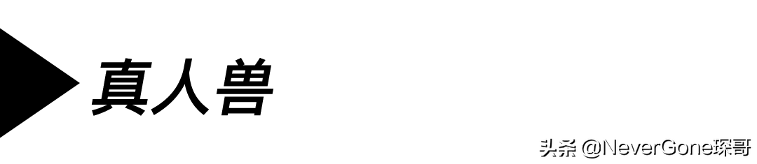 小众没人气的皮衣：Thedi J100做旧机车皮衣