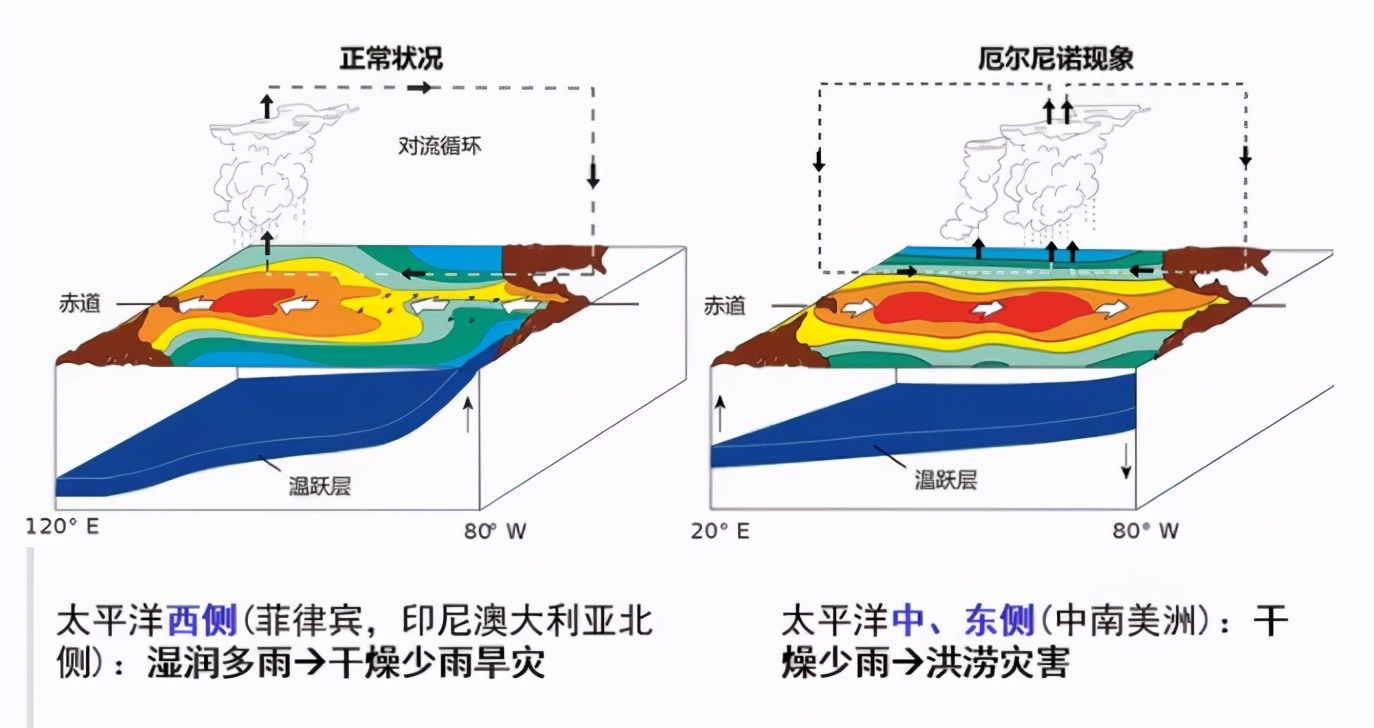 用ai预测厄尔尼诺现象中国大学生团队成果超越nature论文