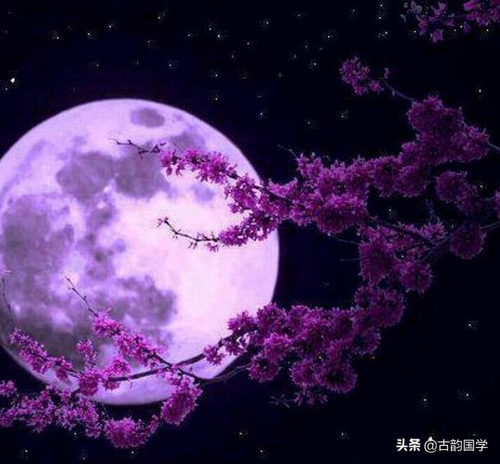 十七首唐诗，写尽春日美景-第3张图片-非凡网