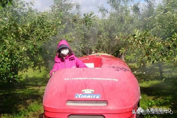 日本苹果为什么种的好？走进日本苹果第一大县“青森县”