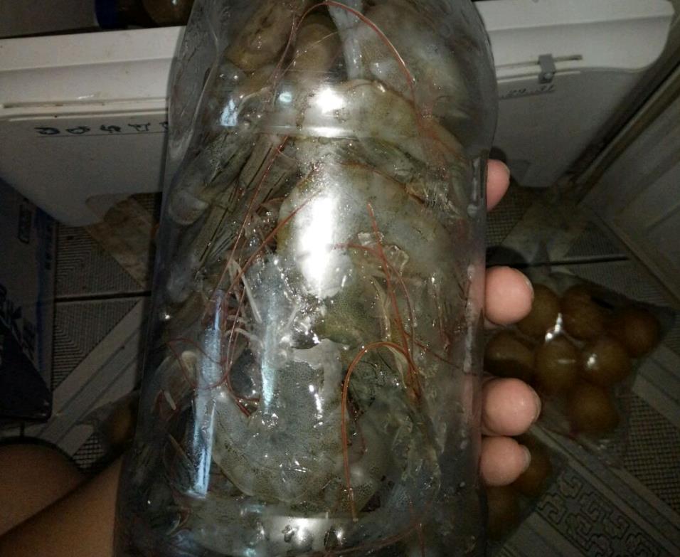 吃不完的鲜虾如何保存？水产店老板教我这样做，轻松保存一整年