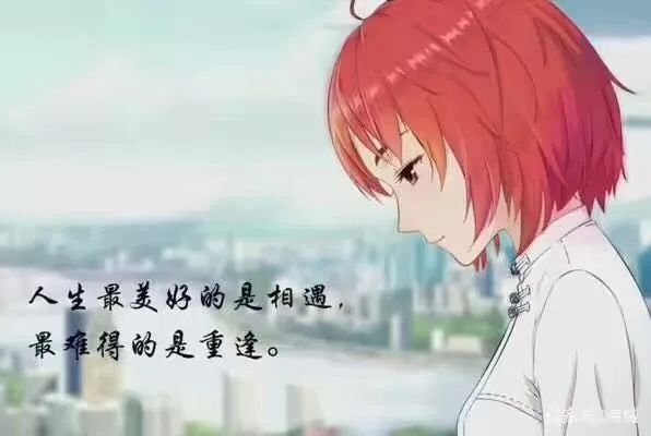 2020最新人生感悟哲理经典句子