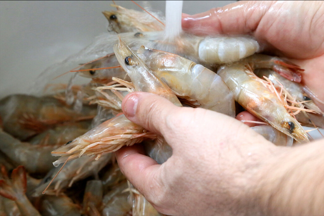 ϺֱӼˮǴģ1ϺζóԻ