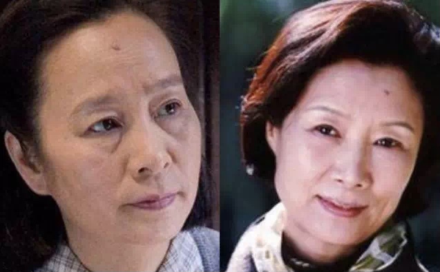 明星撞臉這事吧，不能說是毫無差別，只能說是一模一樣