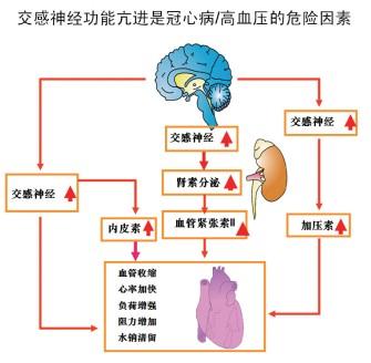 抑郁焦虑和心血管病走得有多近？“三问法”初筛一下