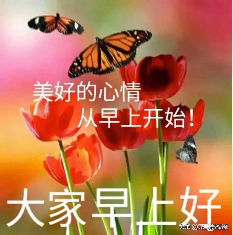 早上好唯美暖心问候语 早安祝福语漂亮图片图片