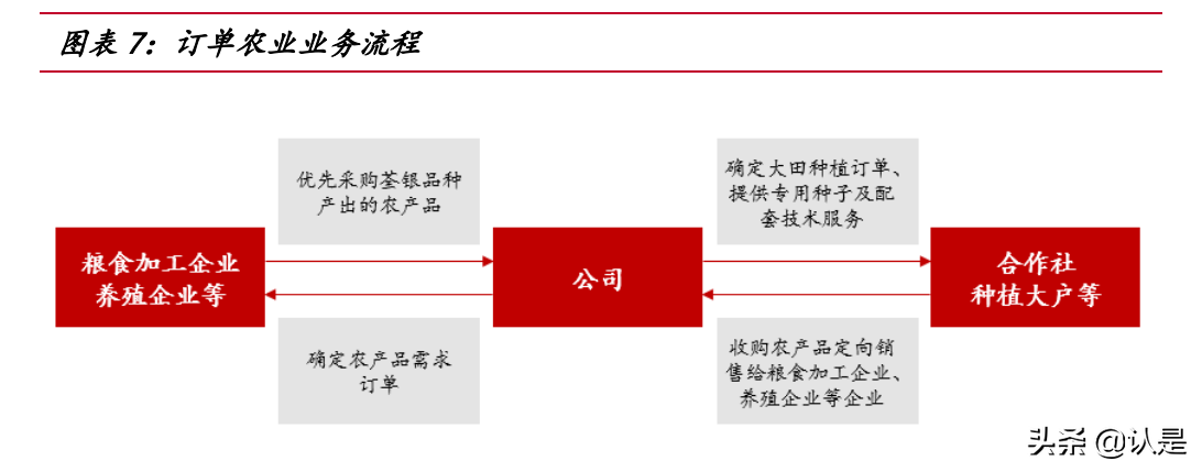 荃银高科专题报告：种业+服务打造产业闭环，借力先正达弯道超车