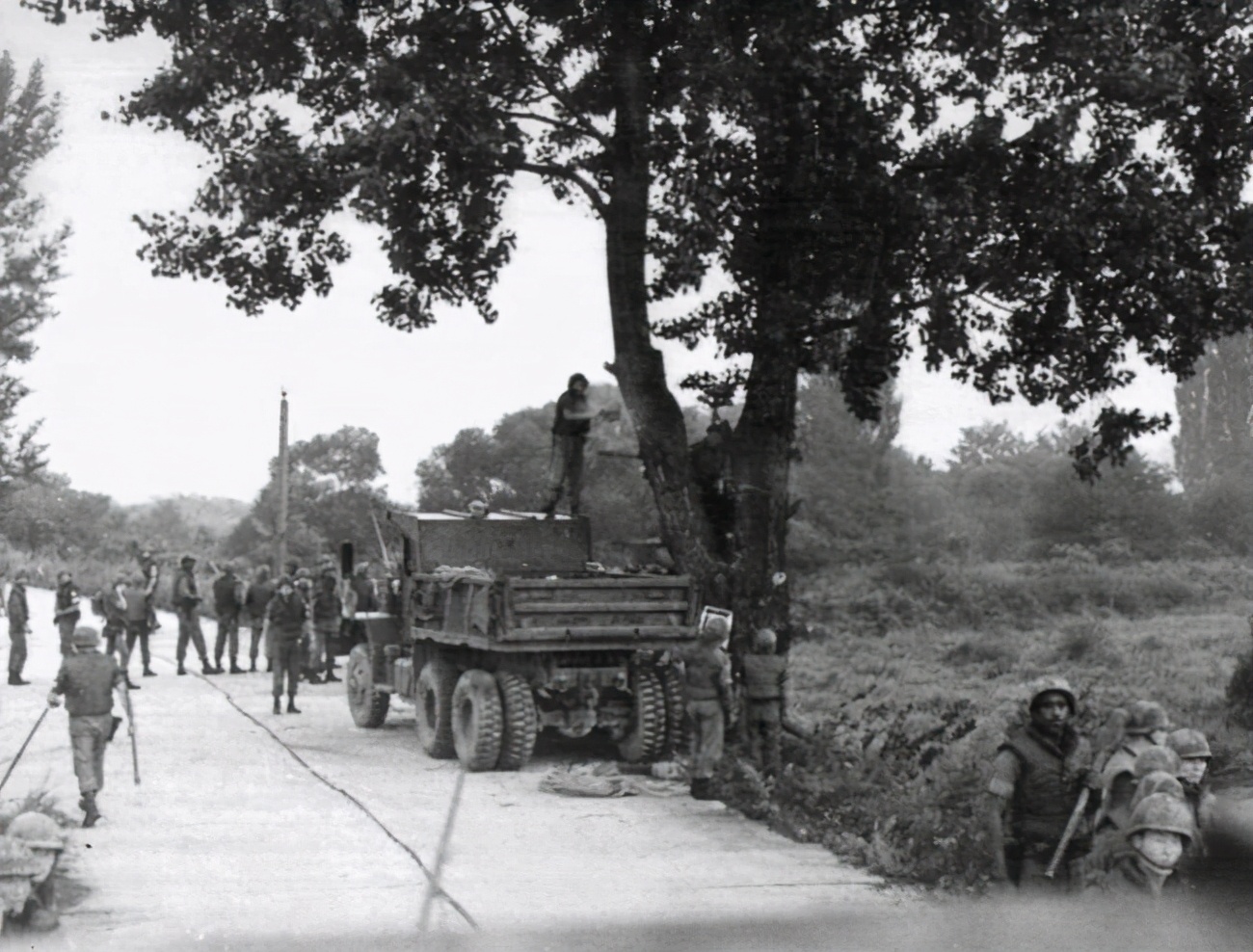 1976年，美軍為了砍掉一棵白楊樹(shù)，險(xiǎn)些引發(fā)第二次朝鮮戰(zhàn)爭(zhēng)