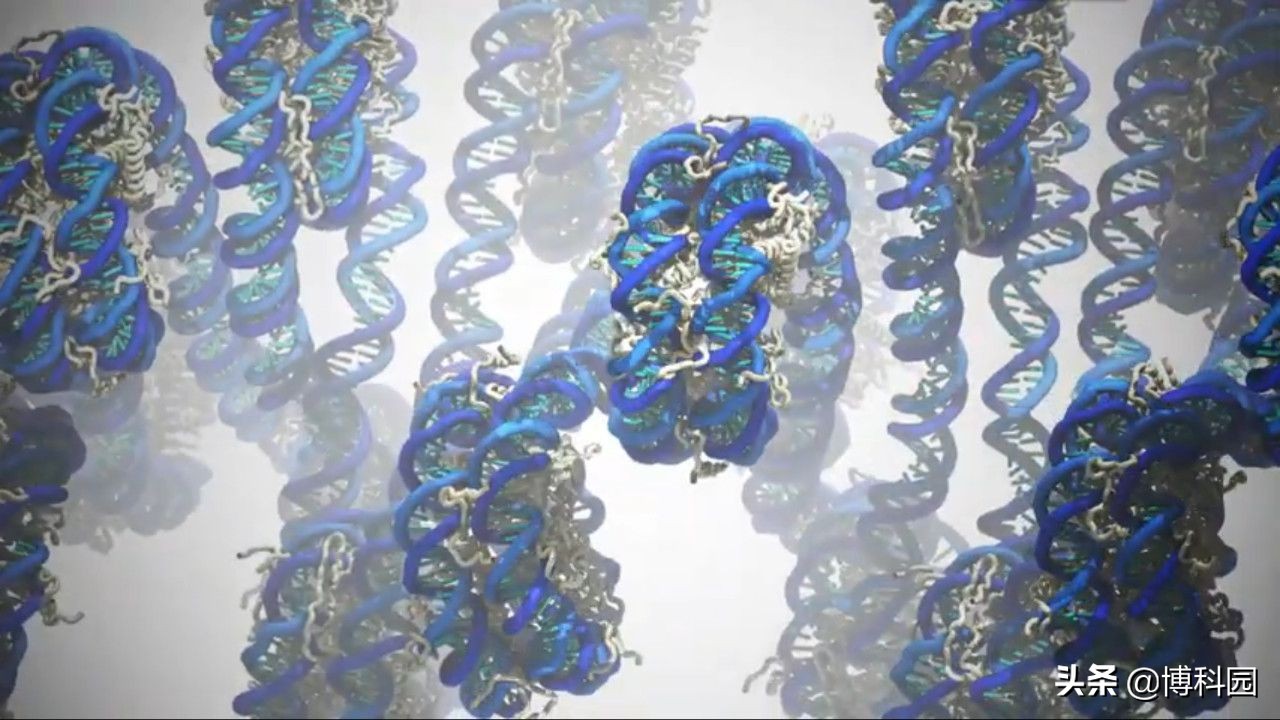 首次创造出：十亿个原子的完整DNA基因模拟！