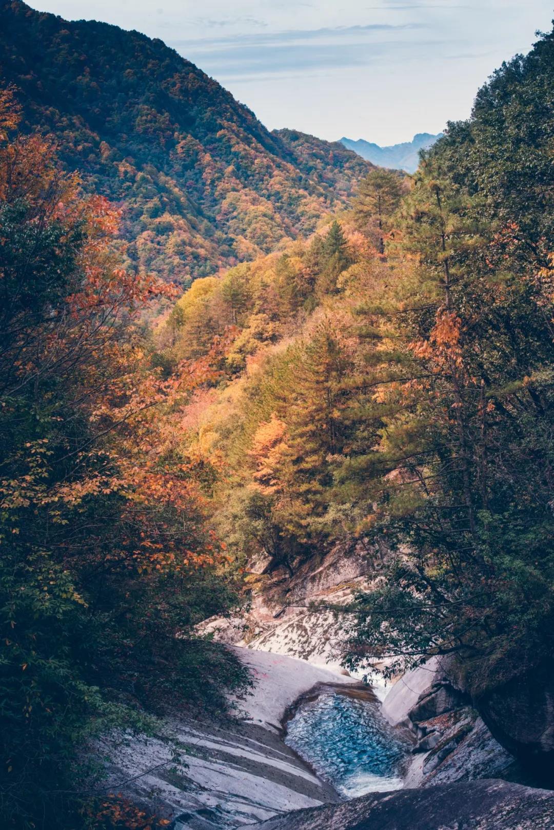 这个秋天最美的约定 兴国将军网手机版 兴国最早的门户网站