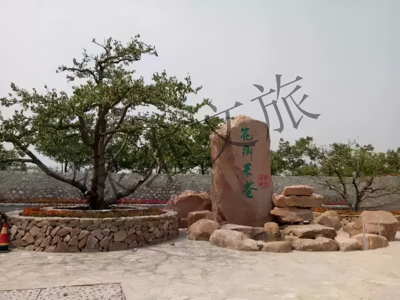 林峰：田園綜合體是鄉(xiāng)村振興推進(jìn)中最好的模式