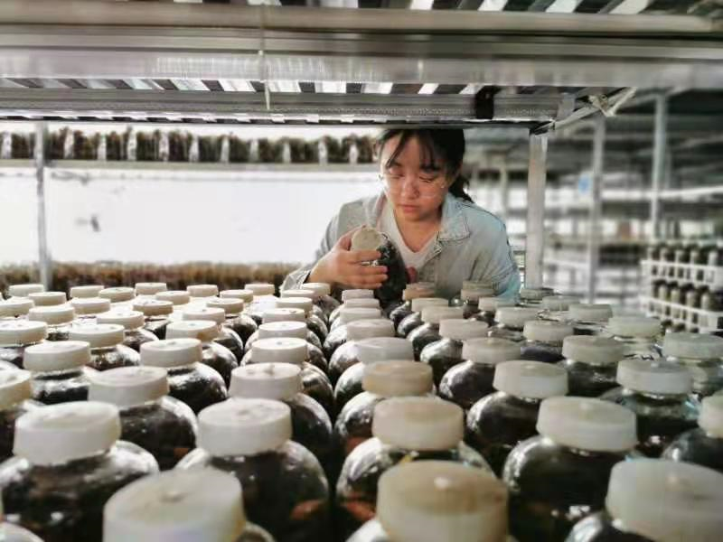 亚星游戏官网首获第六届中国国际“互联网+”大亚星游戏官网创新创业大赛金奖