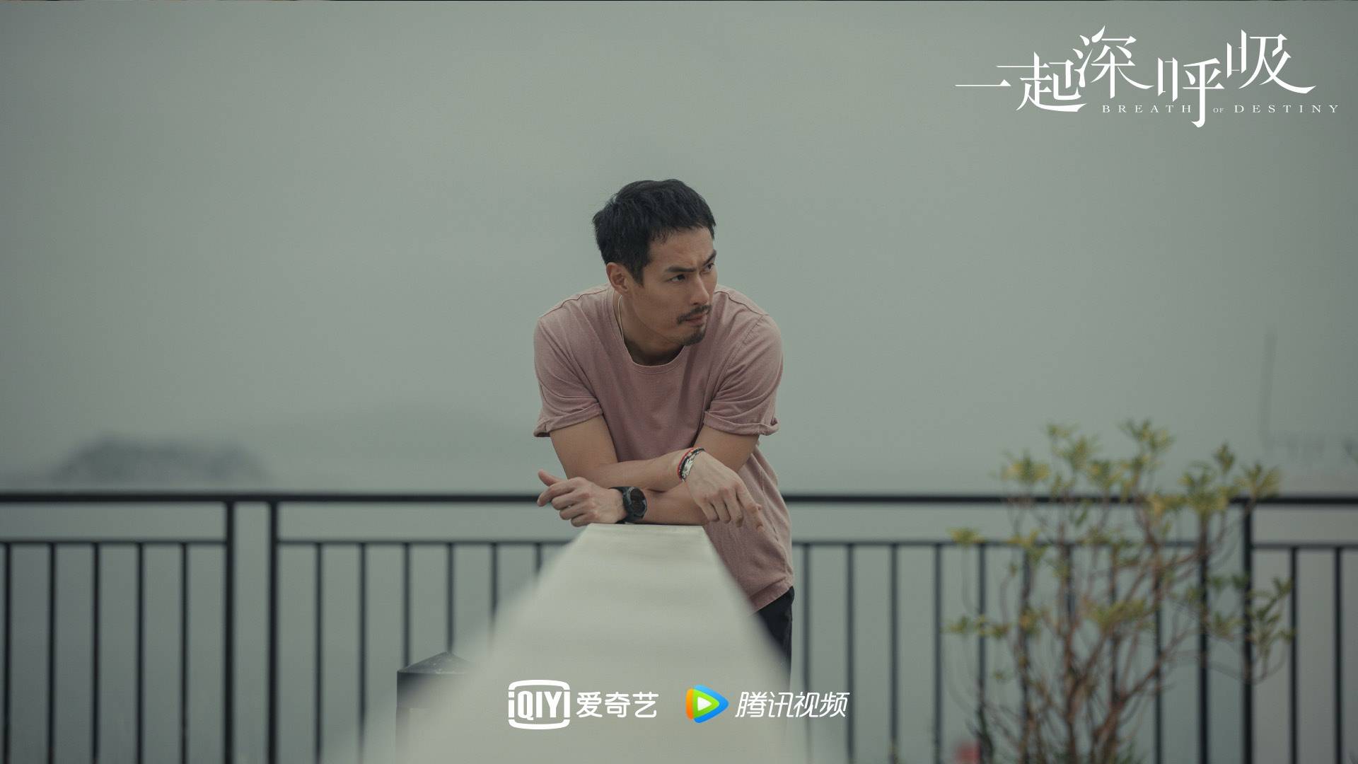 《一起深呼吸》迎来会员收官 杨祐宁口碑获赞实力圈粉