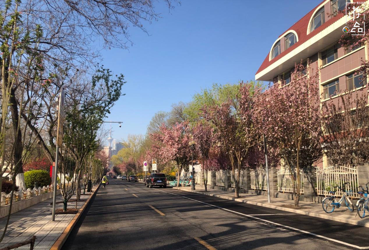 存在感很低的直辖市，最出名的是当地的包子，但这不是真正的天津