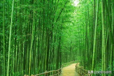 5月寄语：行情会是什么样子