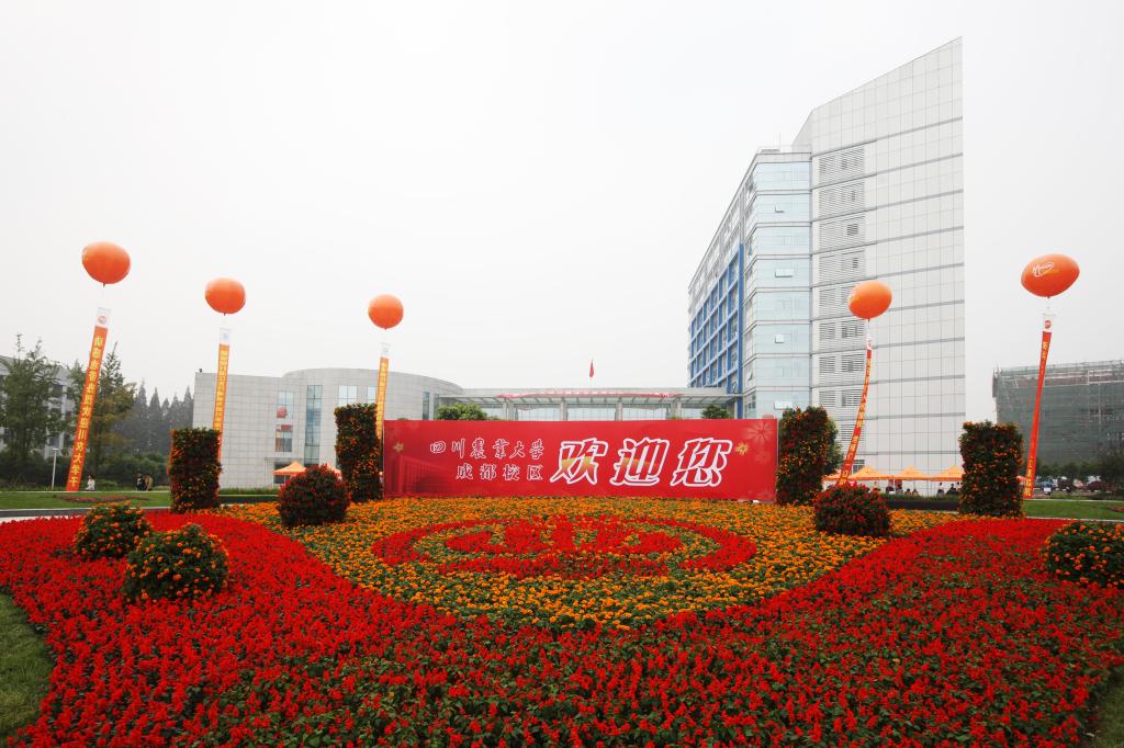 重庆考生首选的2所高校，一个过线就能上，另一所211性价比很高