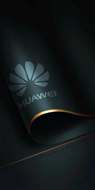 美国如何一步步逼停华为，华为屈辱的身后是血的教训