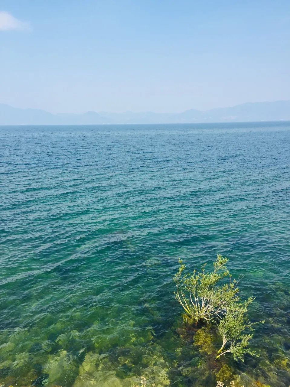 媲美泸沽湖，美过洱海，云南玉溪抚仙湖-玉溪楼盘网
