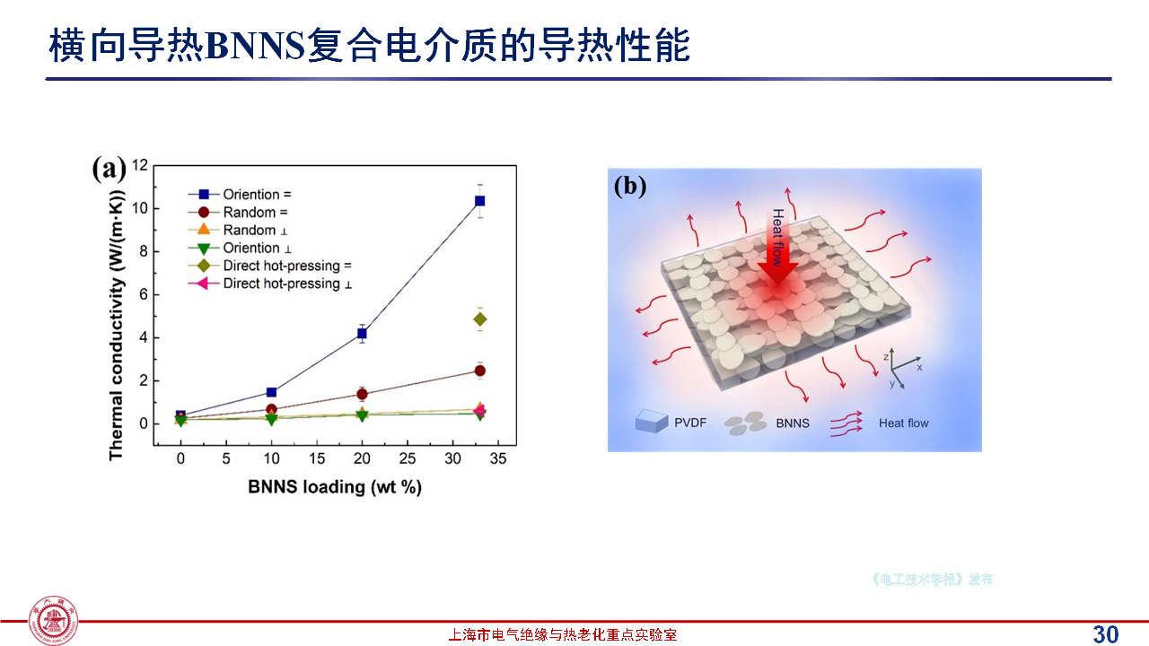 上海交通大學(xué)黃興溢教授：導(dǎo)熱絕緣復(fù)合電介質(zhì)中的界面設(shè)計與實證