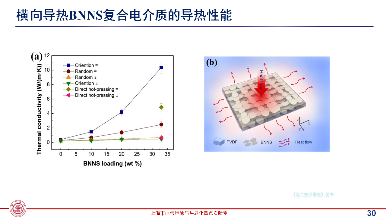 上海交通大學黃興溢教授：導熱絕緣復合電介質中的界面設計與實證