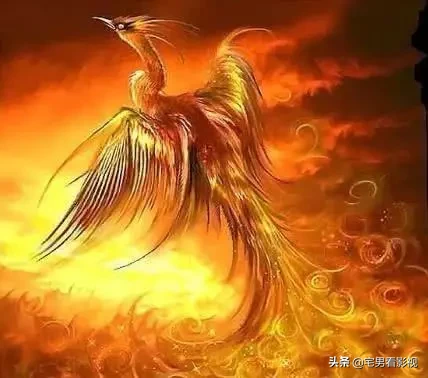 神话传说里的4大神鸟，第3完胜孙悟空，第1打伤