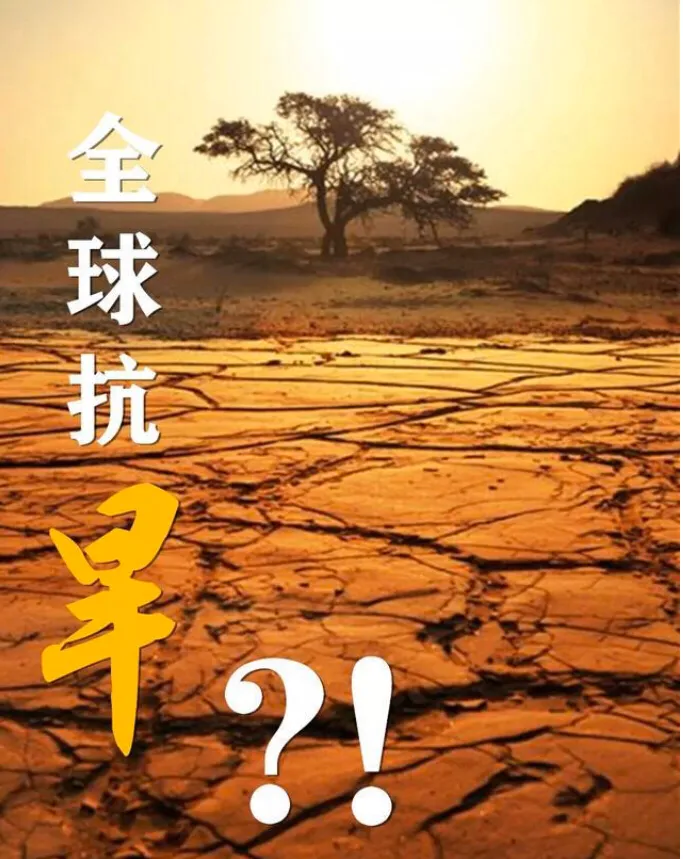 六大洲均未幸免！“超级干旱”，要来了吗？