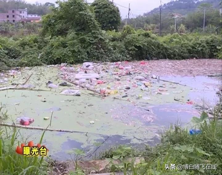 乱搭乱盖未拆、河面漂浮垃圾……博白这些地方该清理啦