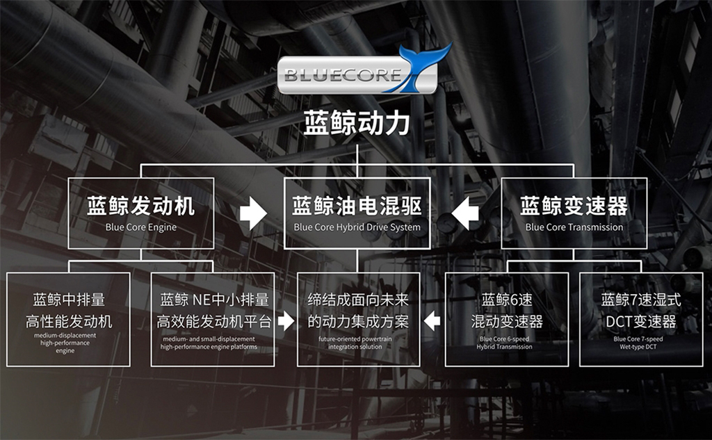 20万买的"长安王" 懂行的竟然都说值