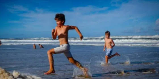 澳洲海滩出现全球最毒生物！一碰致命！已有1