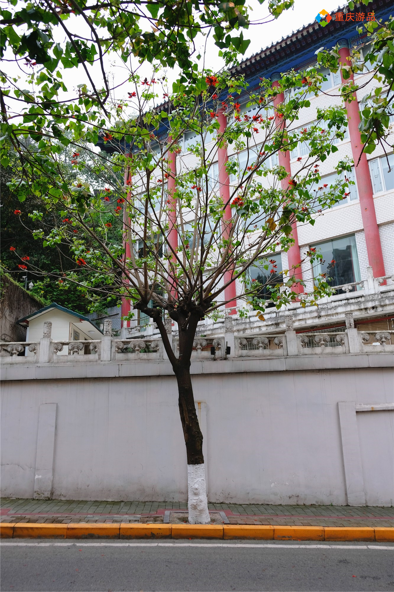 魅力渝中：重庆老社区的新生，枣子岚垭可不仅仅是名字好听