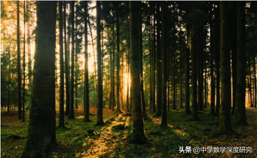 哈佛人生智慧：不要生活在過去，不要為打翻的牛奶哭泣