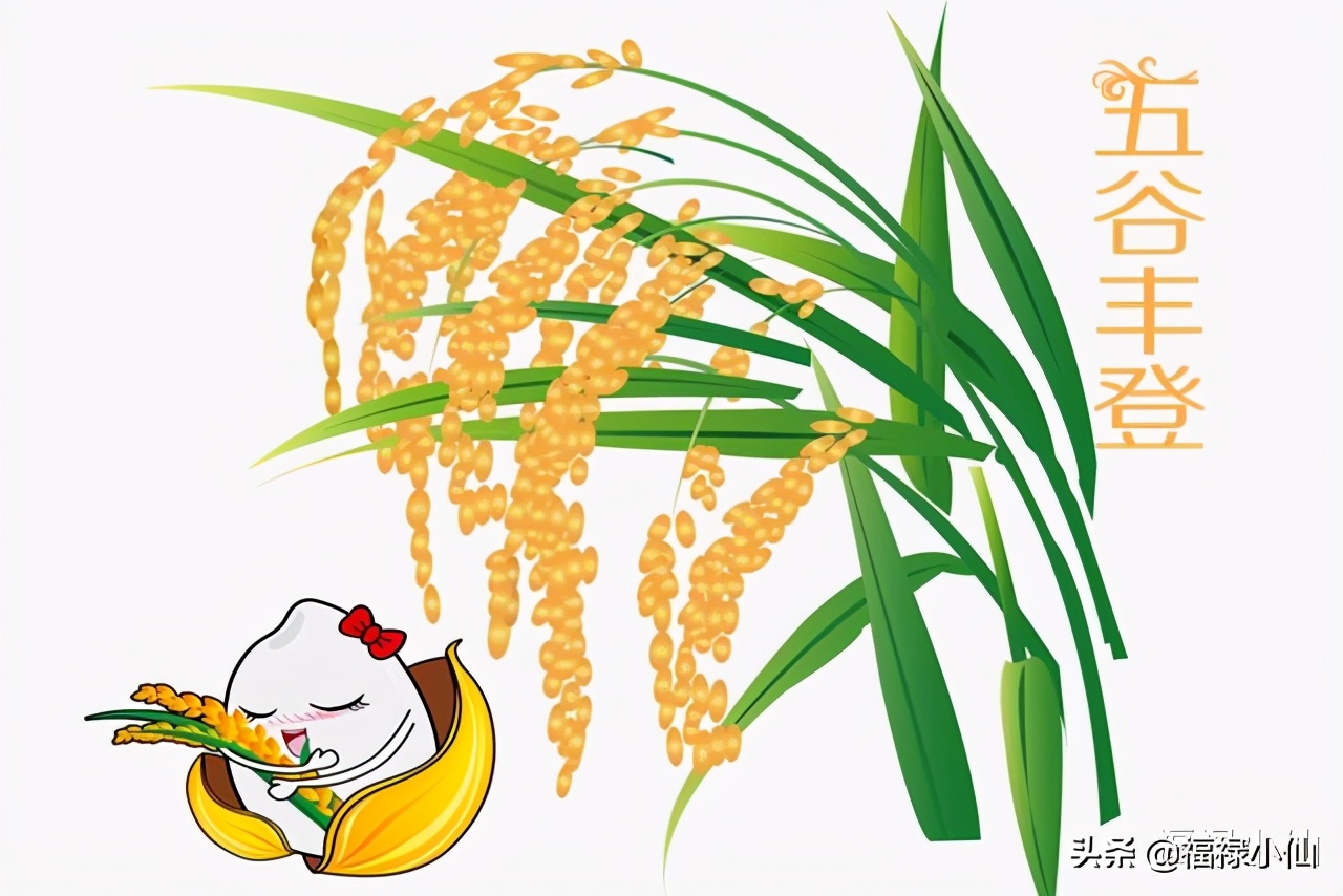 初三|2021正月初三春节习俗12生肖不吵架 不拜年还能晚起床