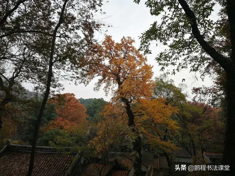 蘇州最美山在哪里？天平山算一處