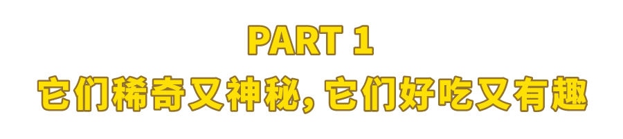 我淘到的这22种新奇水果，你不可能全吃过