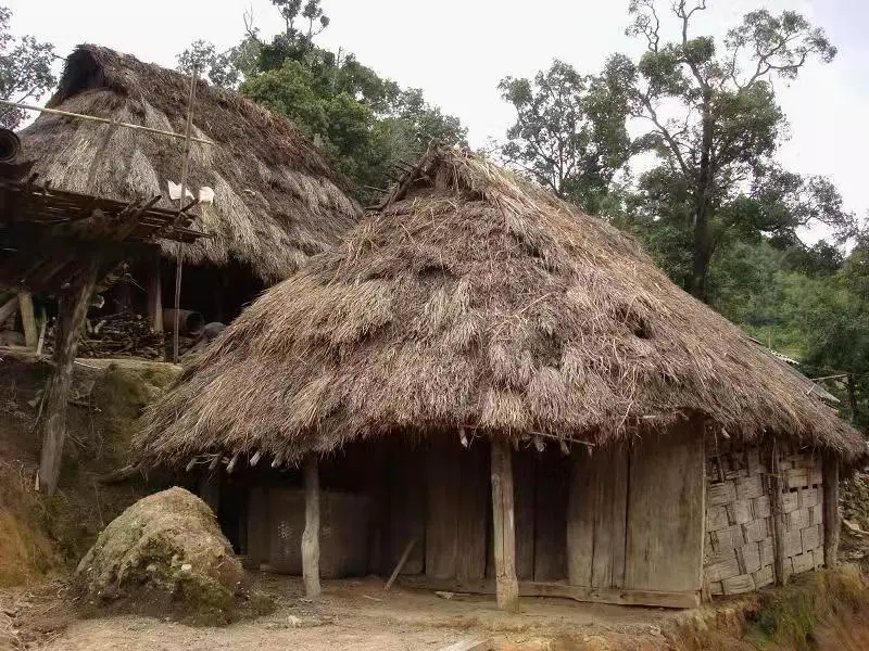 扶贫篇|六大茶山作为10大名品企业,助力乡村振兴,促进共同富裕