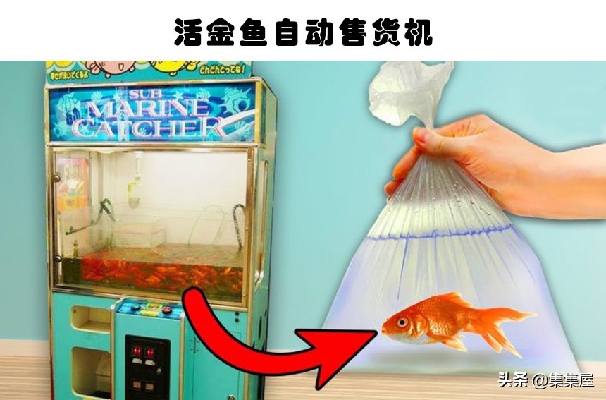 真实存在世界各地的7个有趣的自动售货机