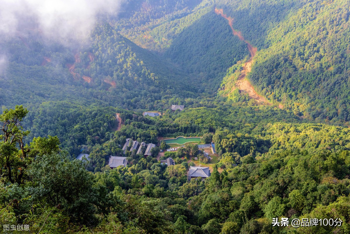 核桃林里投资建厂，打响脱贫攻坚战，御福年这操作有点猛