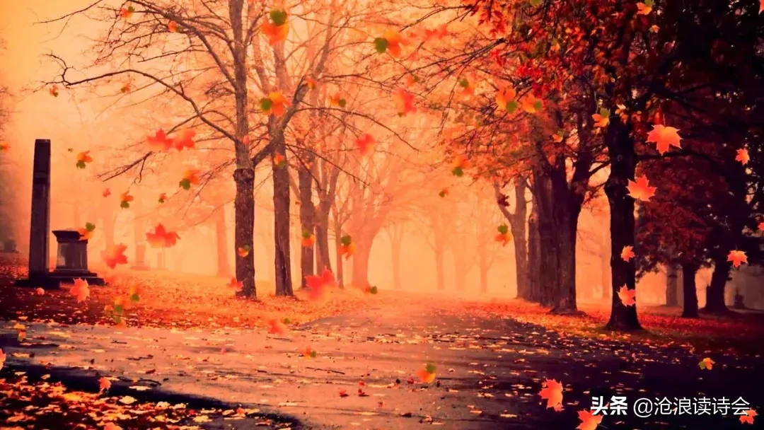 37首律诗写尽秋天之美，心若清凉，风自怡人，感悟人生大境界-第10张图片-诗句网