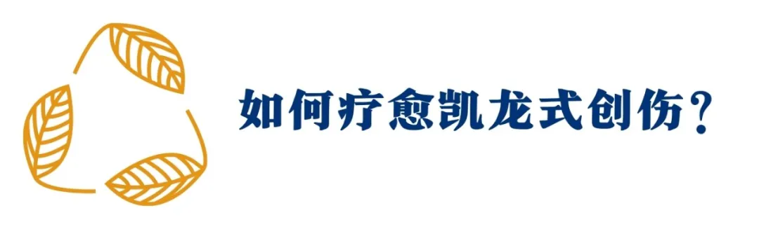 凯龙星疗伤3部曲:看懂这4种隐秘人格,给你疗愈一切的力量 |深度