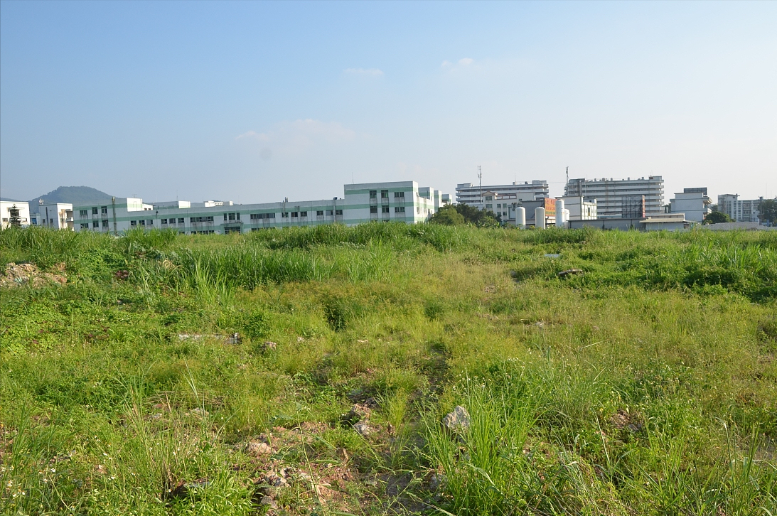 高房价七寸被击中？今年起，楼市迎来3大新规，