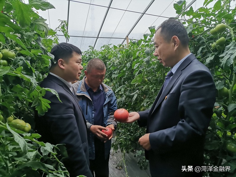 菏泽农商银行马强同志的乡村“挎包”路