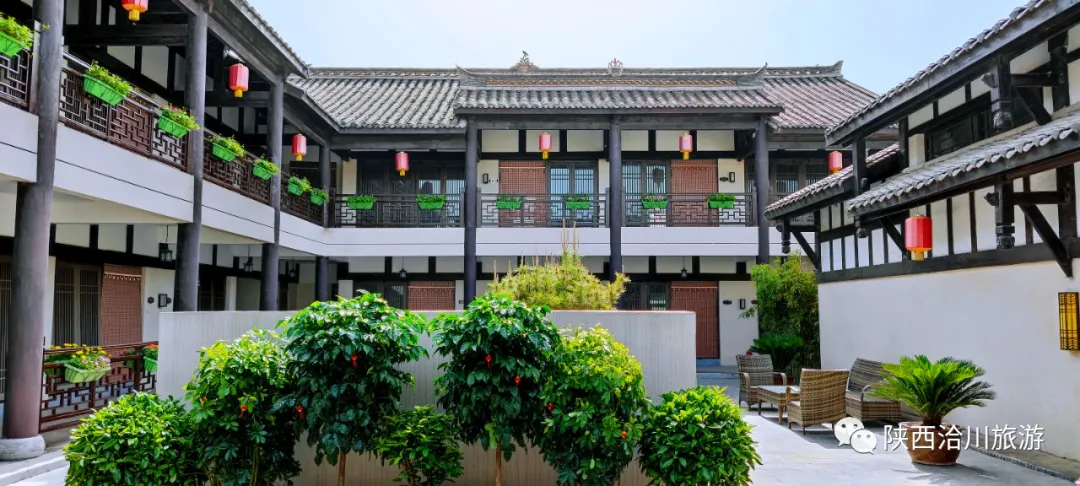 莘國水城•民宿別院的葡萄快熟了……