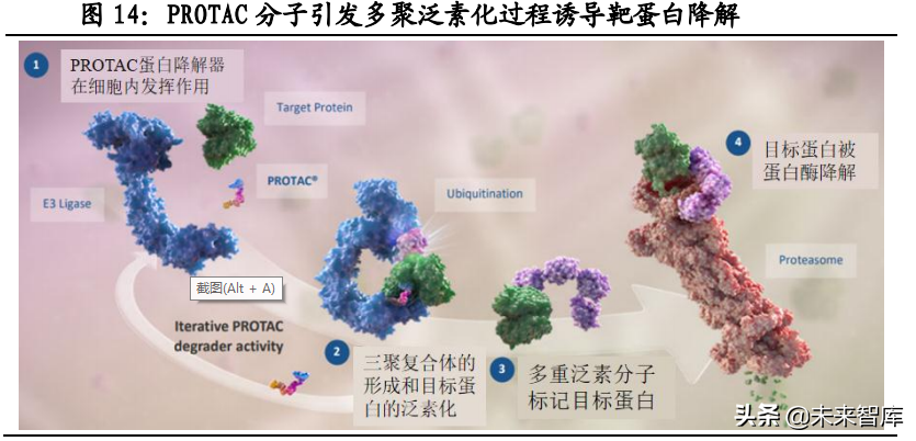 创新药行业研究：探讨未来十年研发方向